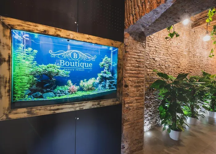 Le Boutique Luxury Rooms Diffused In Historic Center