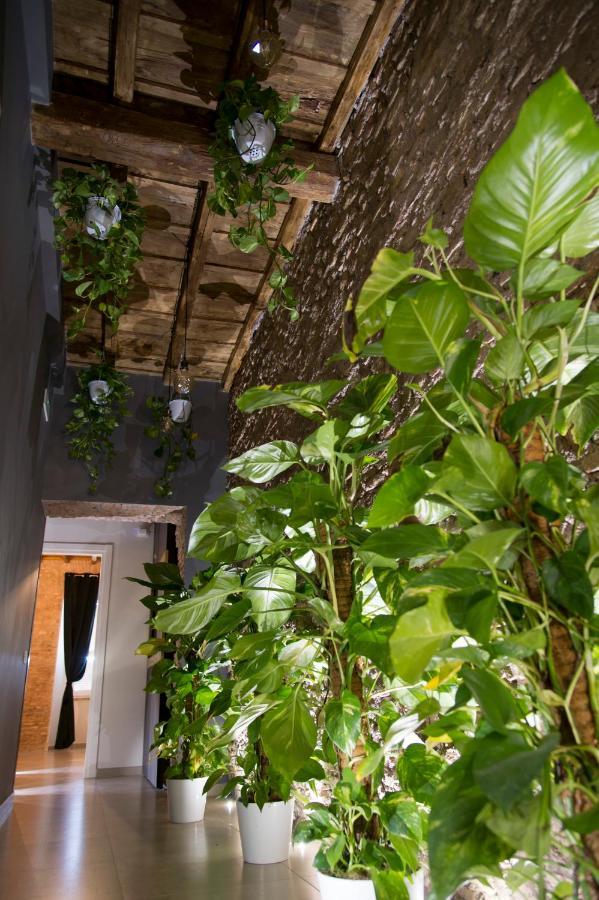 Le Boutique Luxury Diffused In Historic Center Affittacamere *