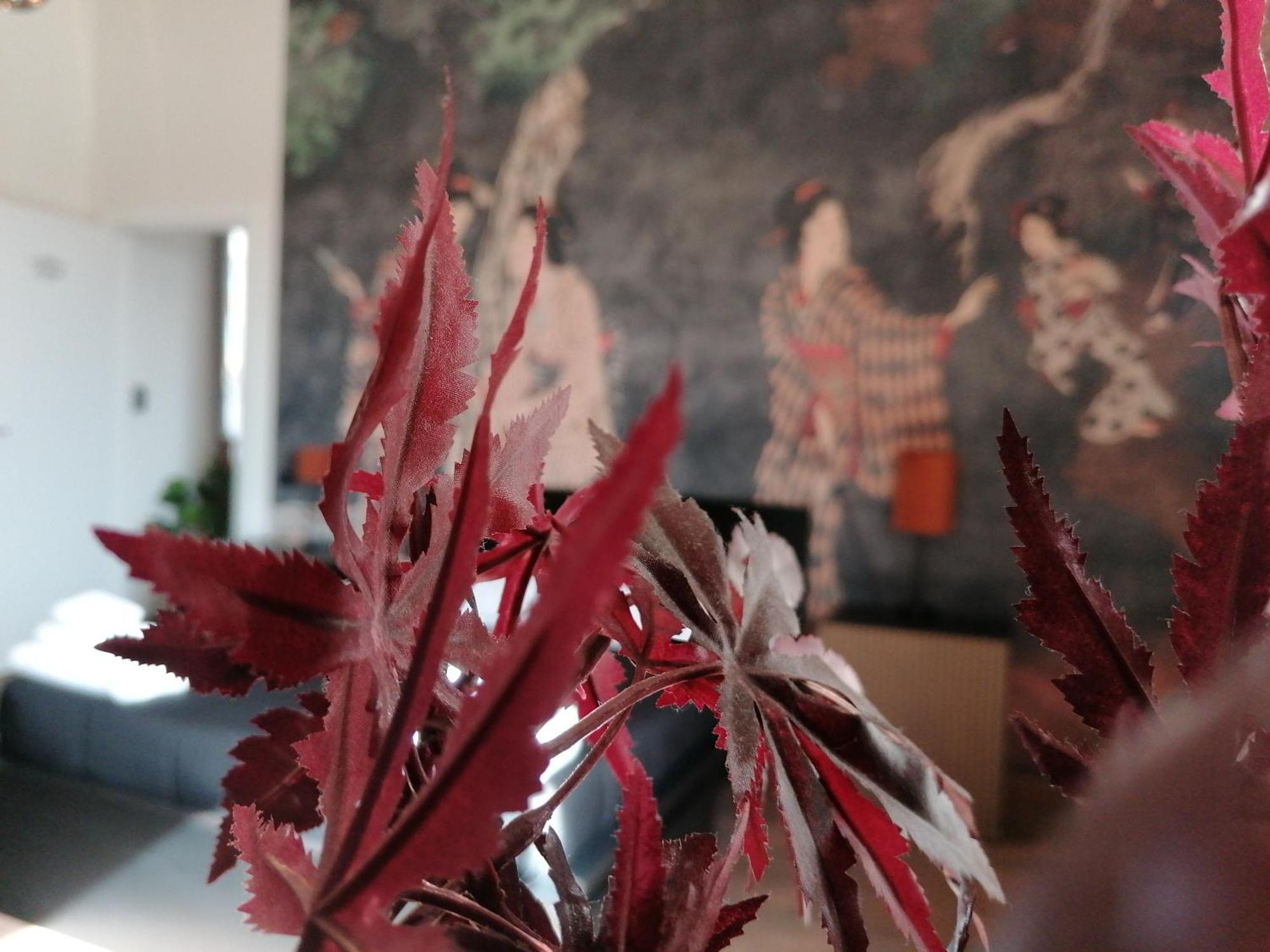 Le Boutique Luxury Diffused In Historic Center Fiumicino
